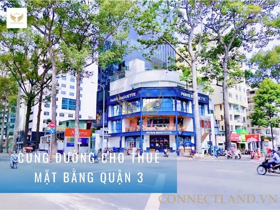 cung-duong-cho-thue-mat-bang-kinh-doanh-quan-3-1