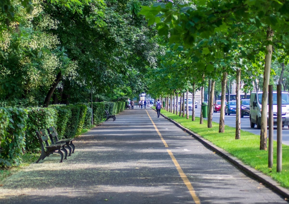 nhung-con-duong-dep-nhat-Sai-Gon-3 