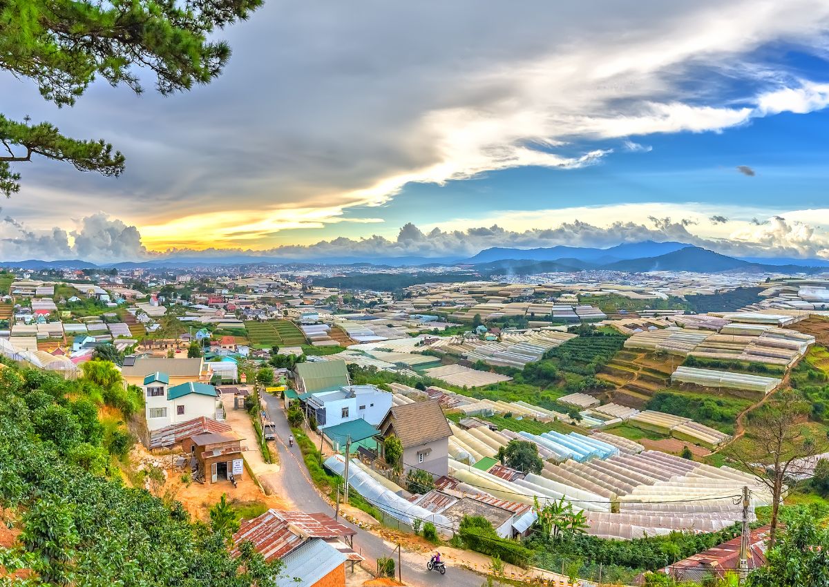 nhung-cọn-duong-dep-nhat-o-Da-Lat-1