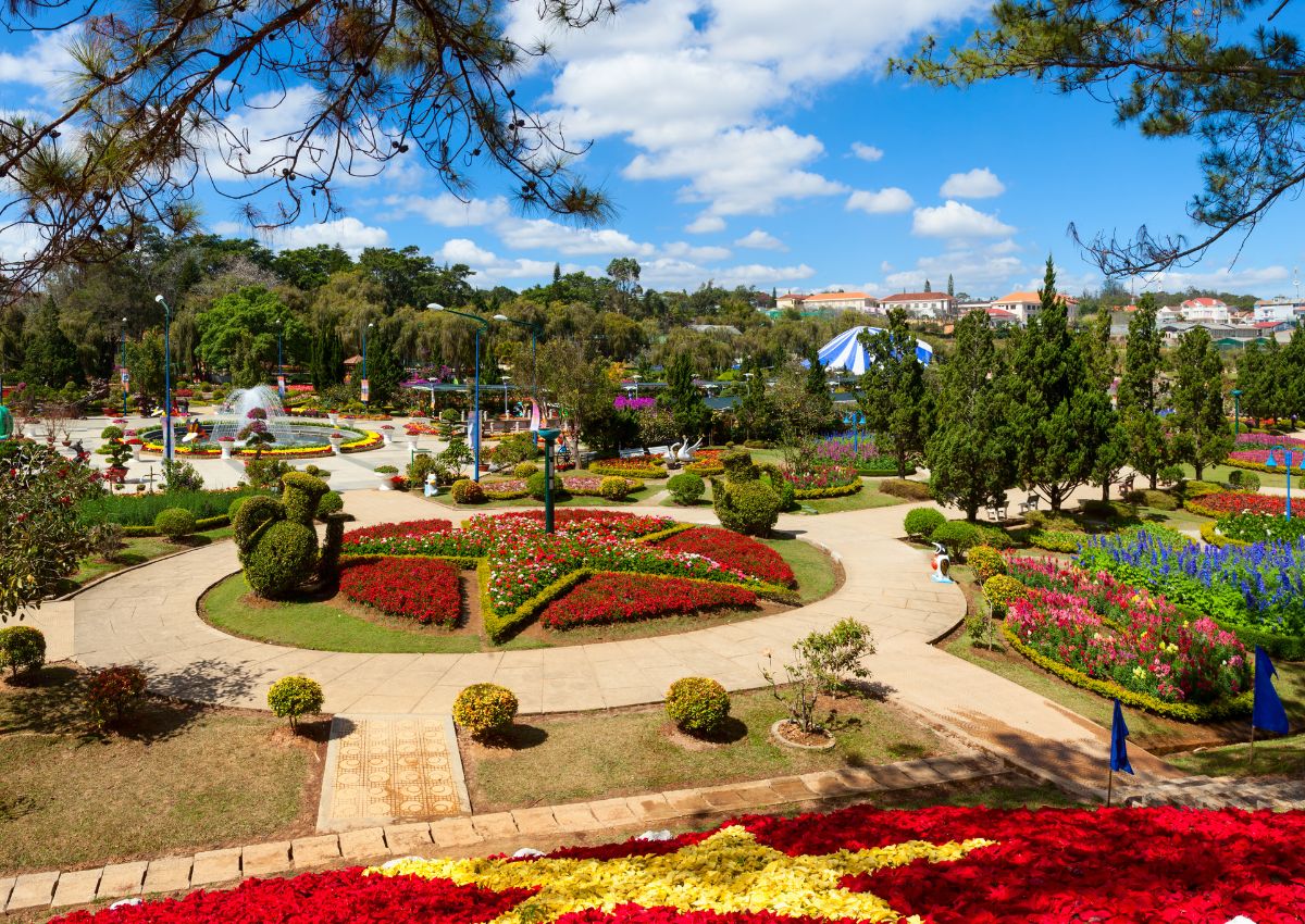 nhung-cọn-duong-dep-nhat-o-Da-Lat-2