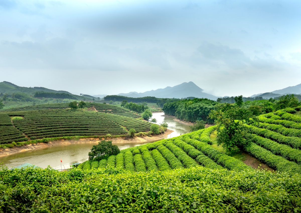 Nhung-con-duong-1-chieu-o-Da-Lat-2