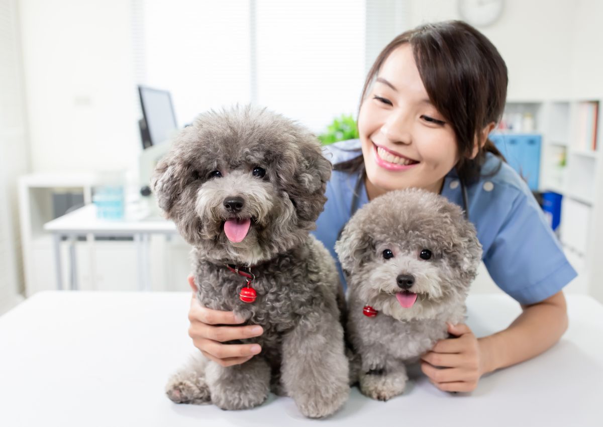 Top-5-nganh-nghe-kinh-doanh-hot-nhat-hien-nay-2