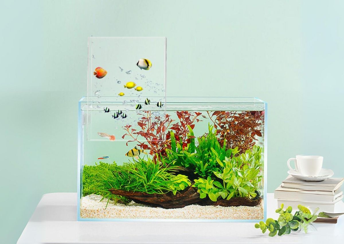 Cac-mon-do-phong-thuy-van-phong-2