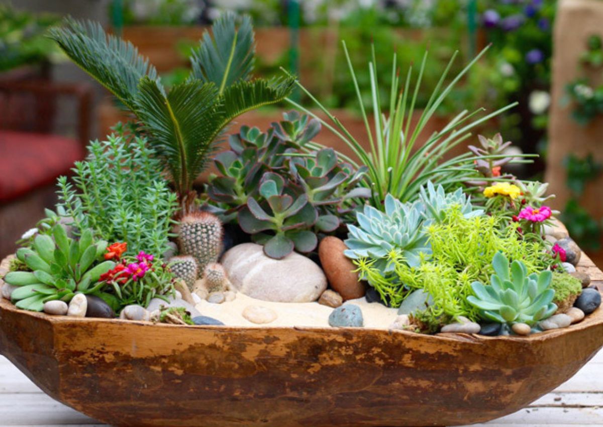 Top-10-cay-phong-thuy-menh-tho-3