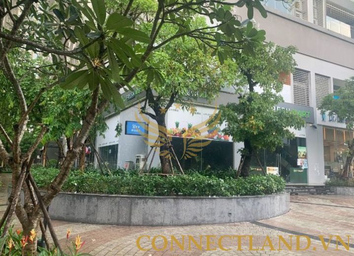 Cho Thuê Mặt Bằng 208 Nguyễn Hữu Cảnh Phường 22 Quận Bình Thạnh