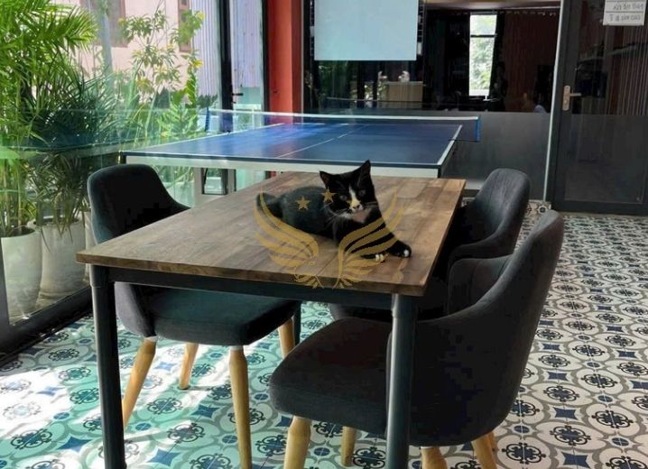 Cho Thuê Mặt Bằng 318 Phan Văn Trị Phường 11 Quận Bình Thạnh