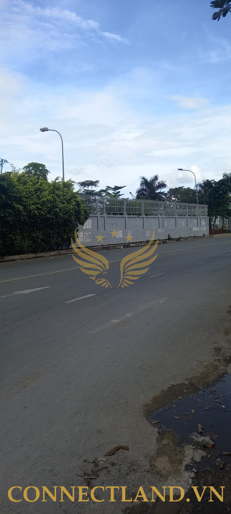 Example Image