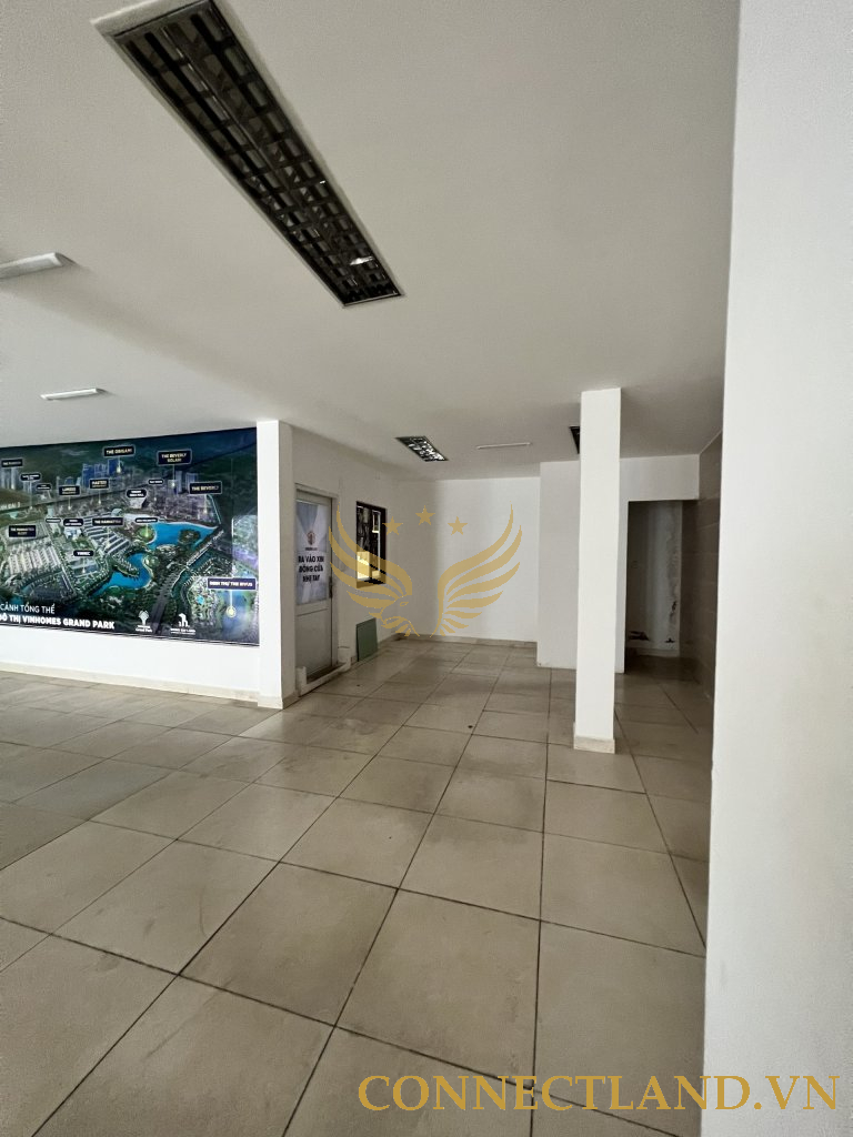 Example Image