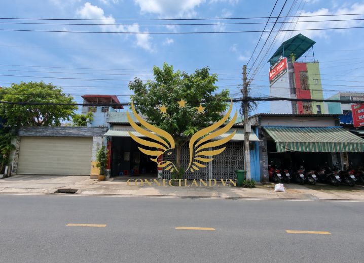 Cho Thuê Tòa nhà 102C Tô Ngọc Vân Phường Thạnh Xuân Quận 12