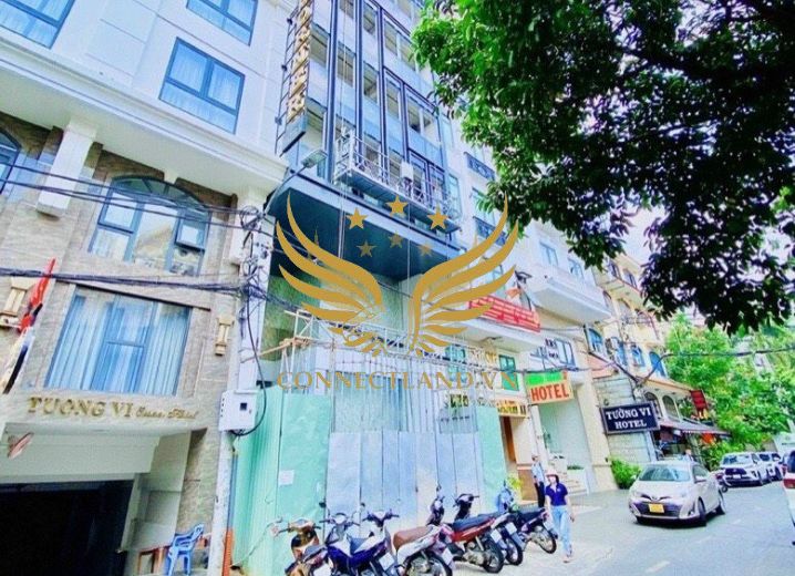 Cho Thuê Tòa nhà 111 Trần Thiện Chánh Phường 12 Quận 10