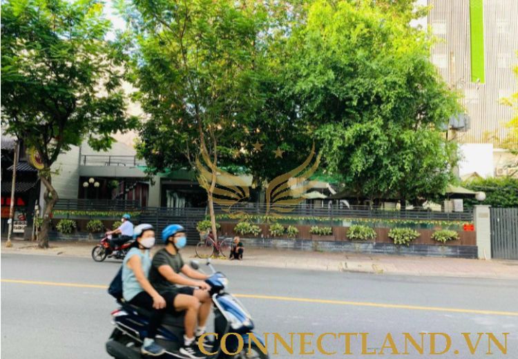 Cho Thuê Tòa nhà 125 Trần Quốc Thảo Phường 1 Quận 3