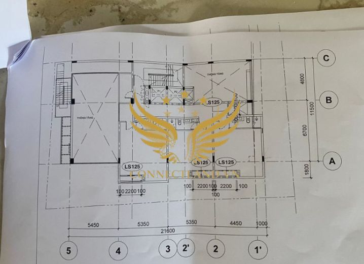 Cho Thuê Tòa nhà 20/9 Kỳ Đồng Phường 1 Quận 3