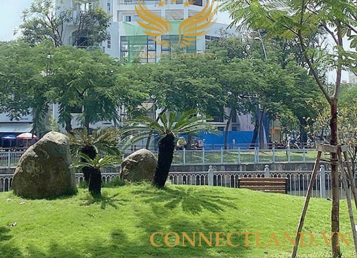 Cho Thuê Tòa nhà 277-279 Hoàng Sa Phường Tân Định Quận 1