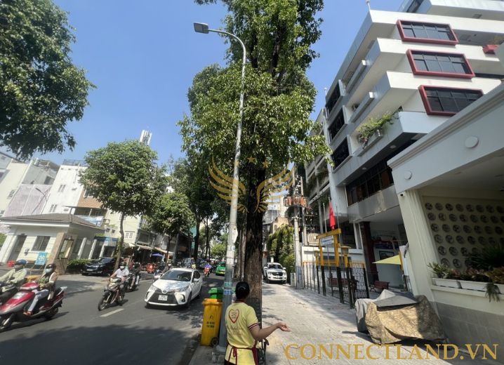 Cho Thuê Tòa Nhà 38 Mạc Đĩnh Chi Phường Đa Kao Quận 1