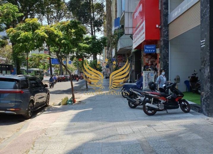 Cho Thuê Tòa nhà 91C Hàm Nghi Phường Nguyễn Thái Bình Quận 1