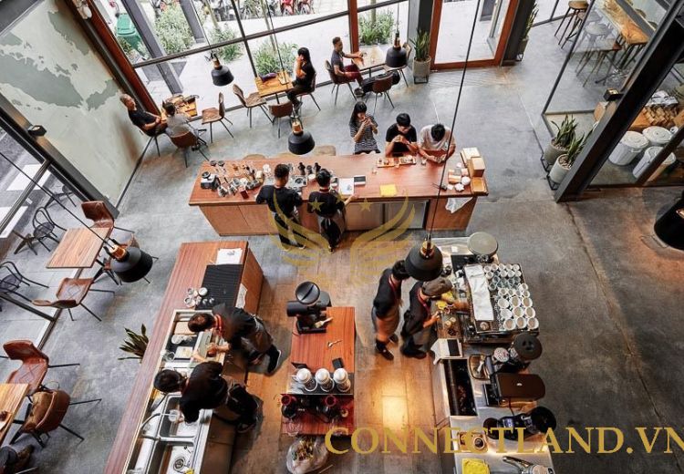Cho Thuê Tòa Nhà 9B Phạm Ngọc Thạch Phường 1 Quận 3