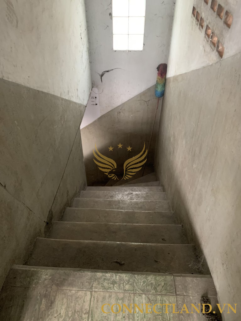 Example Image