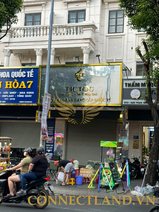 Example Image