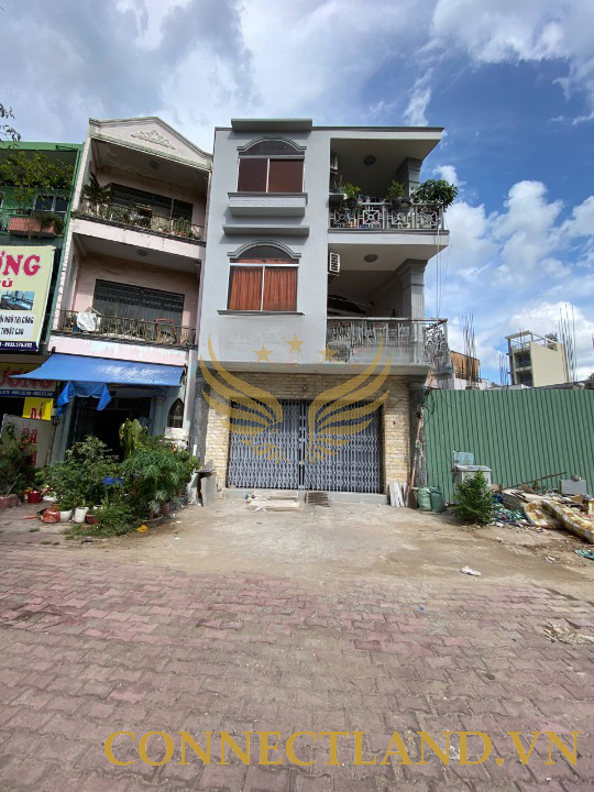 Example Image