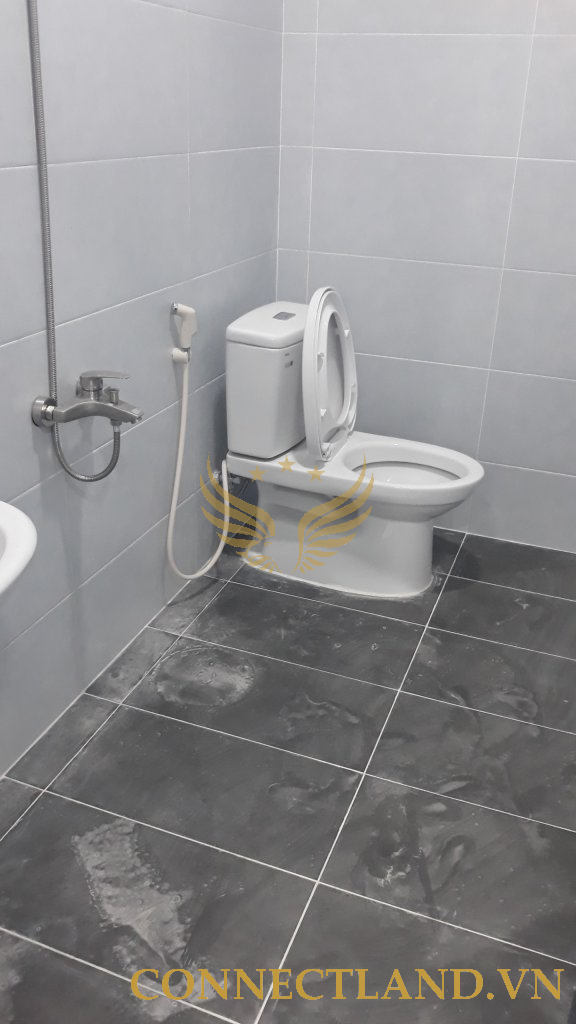 Example Image