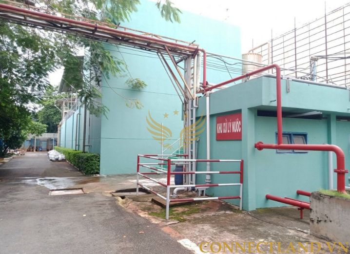 Cho Thuê Mặt Bằng 109 Hoàng Hoa Thám Phường 13 Quận Tân Bình