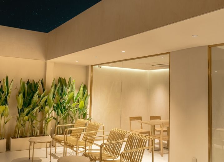 Cho Thuê Mặt Bằng 7-9 Hoa Phượng Phường 2 Phú Nhuận