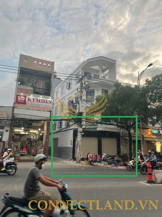 Example Image