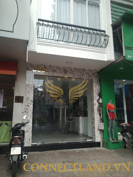 Example Image