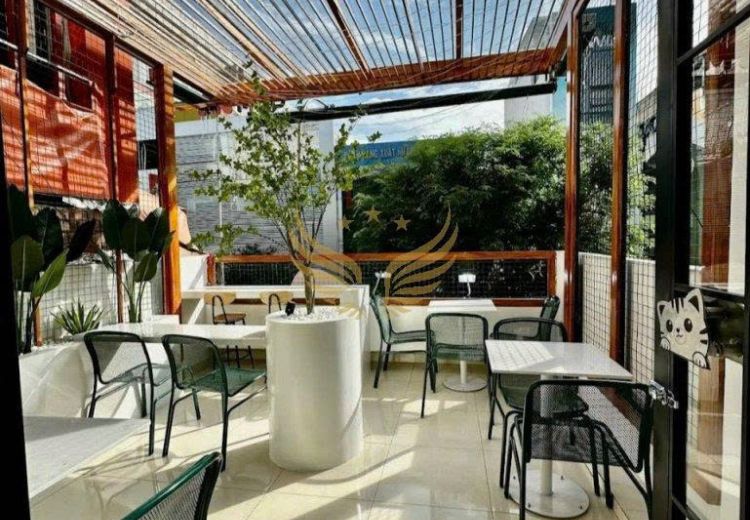 Cho Thuê Nhà Mặt Tiền 714 Sư Vạn Hạnh Phường 12 Quận 10