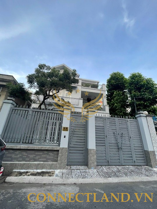 Example Image