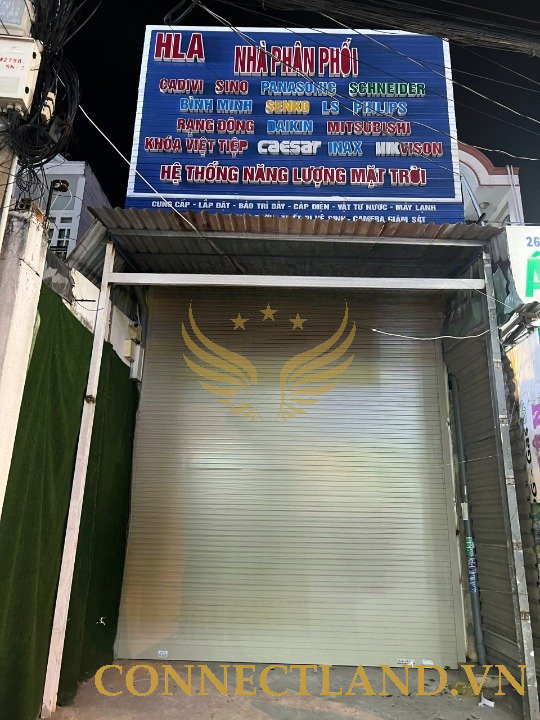 Example Image