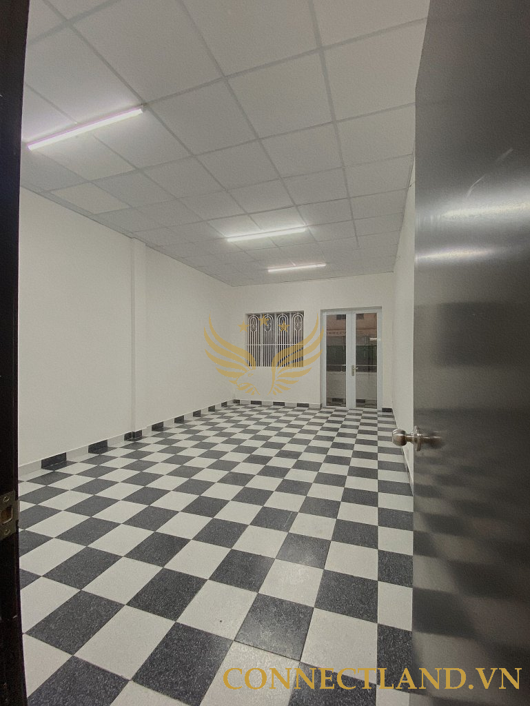 Example Image