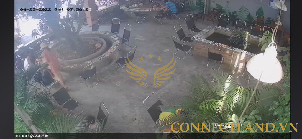 Example Image