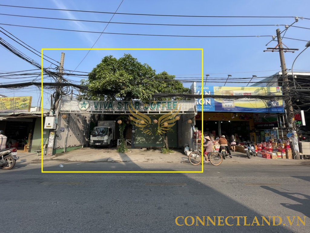 Example Image