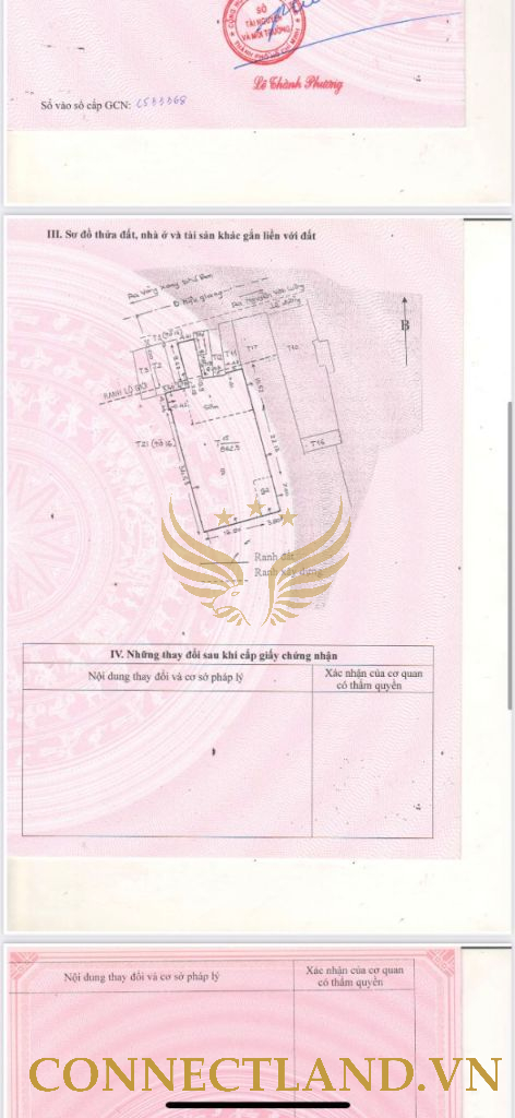 Example Image