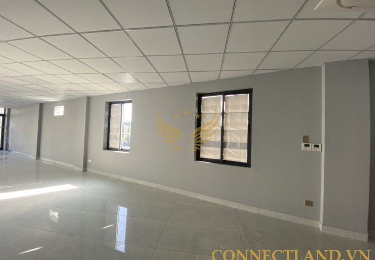 Cho Thuê Tòa Nhà 105 Bờ Bao Tân Thắng Phường Hiệp Tân Quận Tân Phú