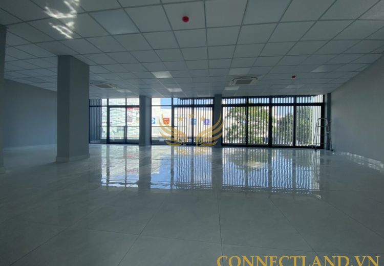 Cho Thuê Tòa Nhà 105 Bờ Bao Tân Thắng Phường Hiệp Tân Quận Tân Phú