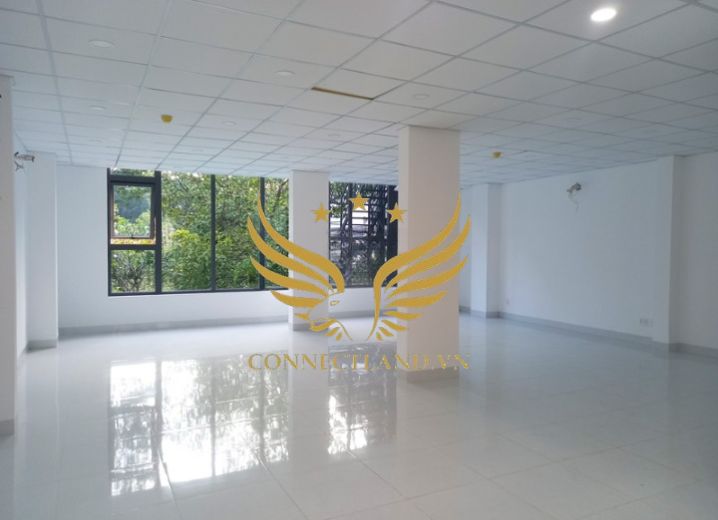 Cho Thuê Tòa Nhà 124 Bạch Đằng Phường 2 Quận Tân Bình