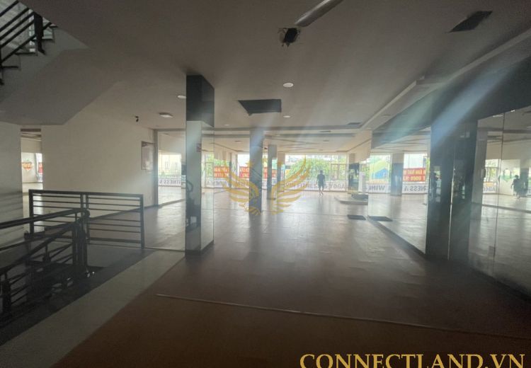 Cho Thuê Tòa Nhà 129E-129D Gò Dầu Phường Hiệp Tân Quận Tân Phú
