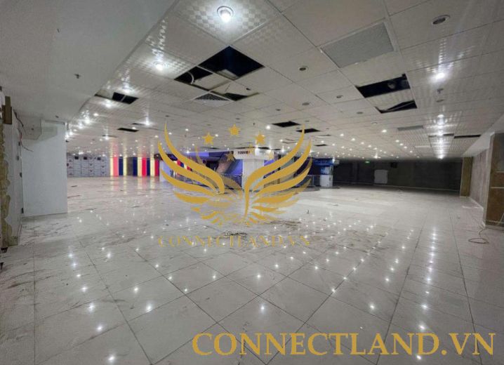 Cho Thuê Tòa nhà 277B Cách Mạng Tháng Tám Phường 1 Quận 10