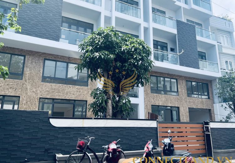 Cho Thuê Tòa Nhà 3 Lê Trực Phường 7 Quận Bình Thạnh
