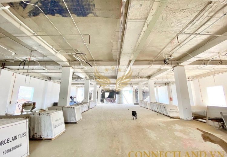 Cho Thuê Tòa Nhà 306 Hòa Bình Phường Hiệp Tân Quận Tân Phú