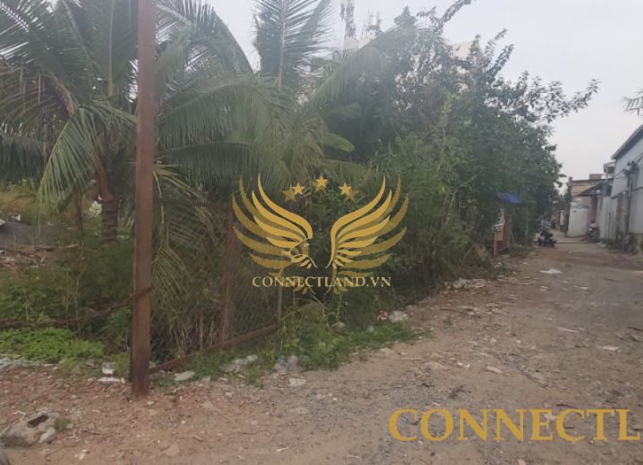 Cho Thuê Tòa nhà 45 đường 29 Phường Thạnh Mỹ Lợi Quận 2