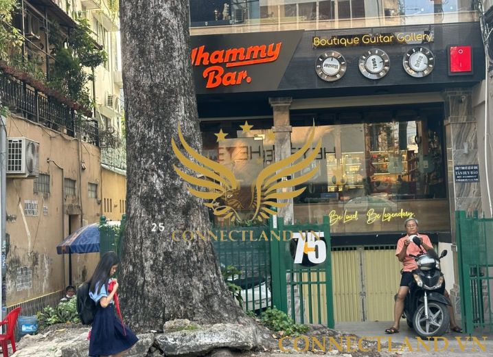 Cho Thuê Tòa nhà 75 Trần Quang Diệu Phường 1 Quận 3