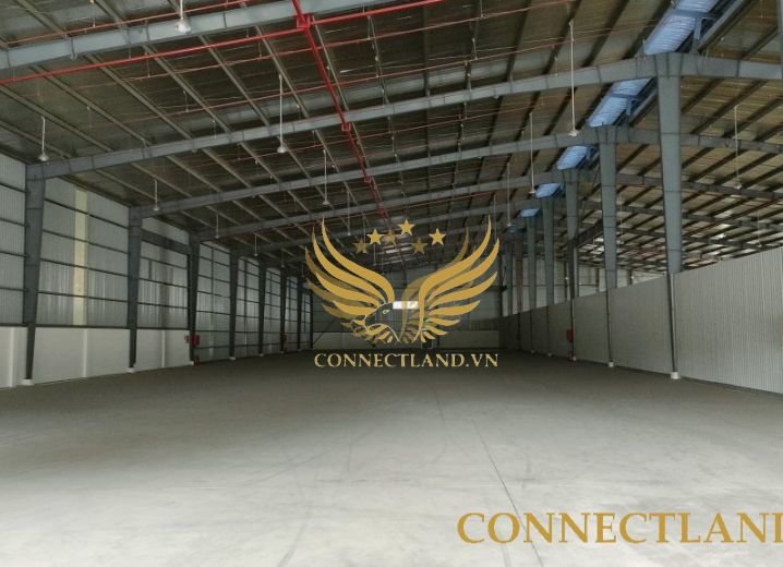 Cho Thuê Tòa nhà D1 đường D2 Phường Thạnh Mỹ Lợi Quận 2