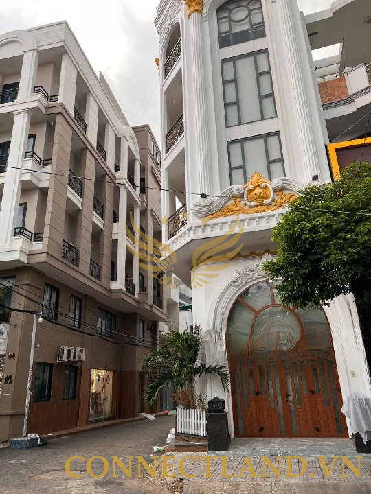 Example Image