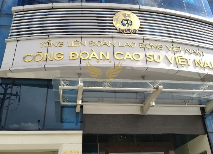 Cho Thuê Văn Phòng 229 Hoàng Văn Thụ Phường 9 Quận Phú Nhuận