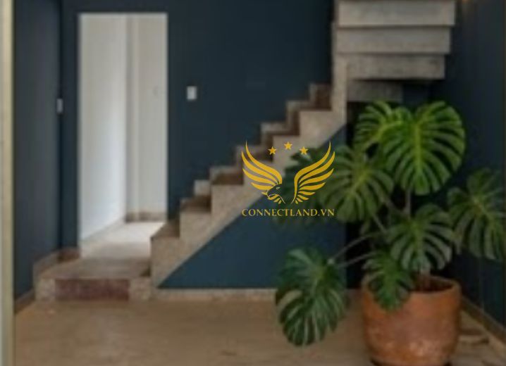 Cho Thuê Văn Phòng 284A Nam Kỳ Khởi Nghĩa Phường 8 Quận 3