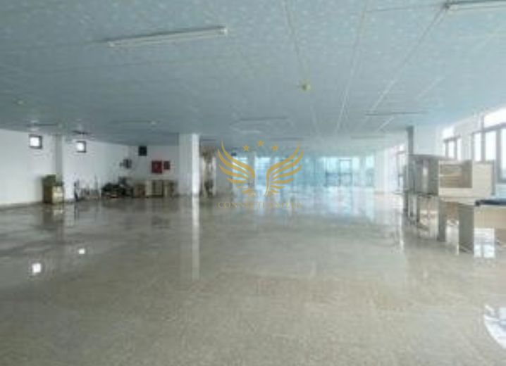 Cho Thuê Văn Phòng 449-451 Tân Sơn Phường 12 Quận Gò Vấp
