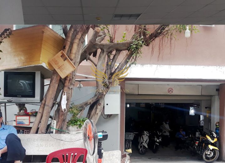 Cho Thuê Văn Phòng 72/24 Phan Đăng Lưu Phường 6 Quận Phú Nhuận